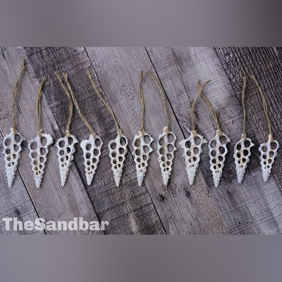 Sliced Seashell Ornaments Gift Set of 8 Strands Natural Wedding Favor TheSandbar - Picture 2 of 4